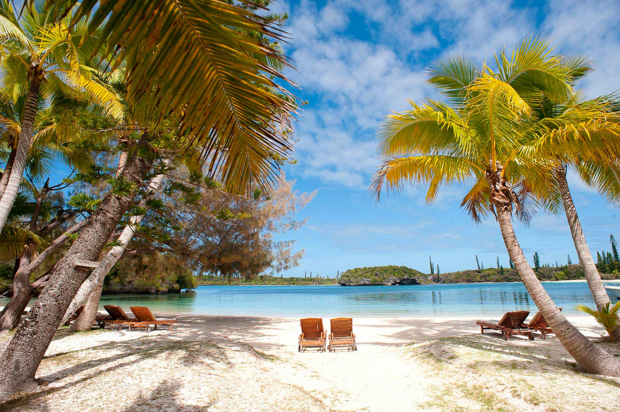 Tour Guidé De Lîle Des Pins Nouméa Discovery